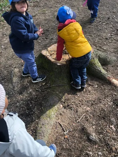 Kinder spielen am Baumstamm